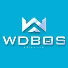 WDBOS - Pengalaman Game FPS yang Menggugah Adrenalin